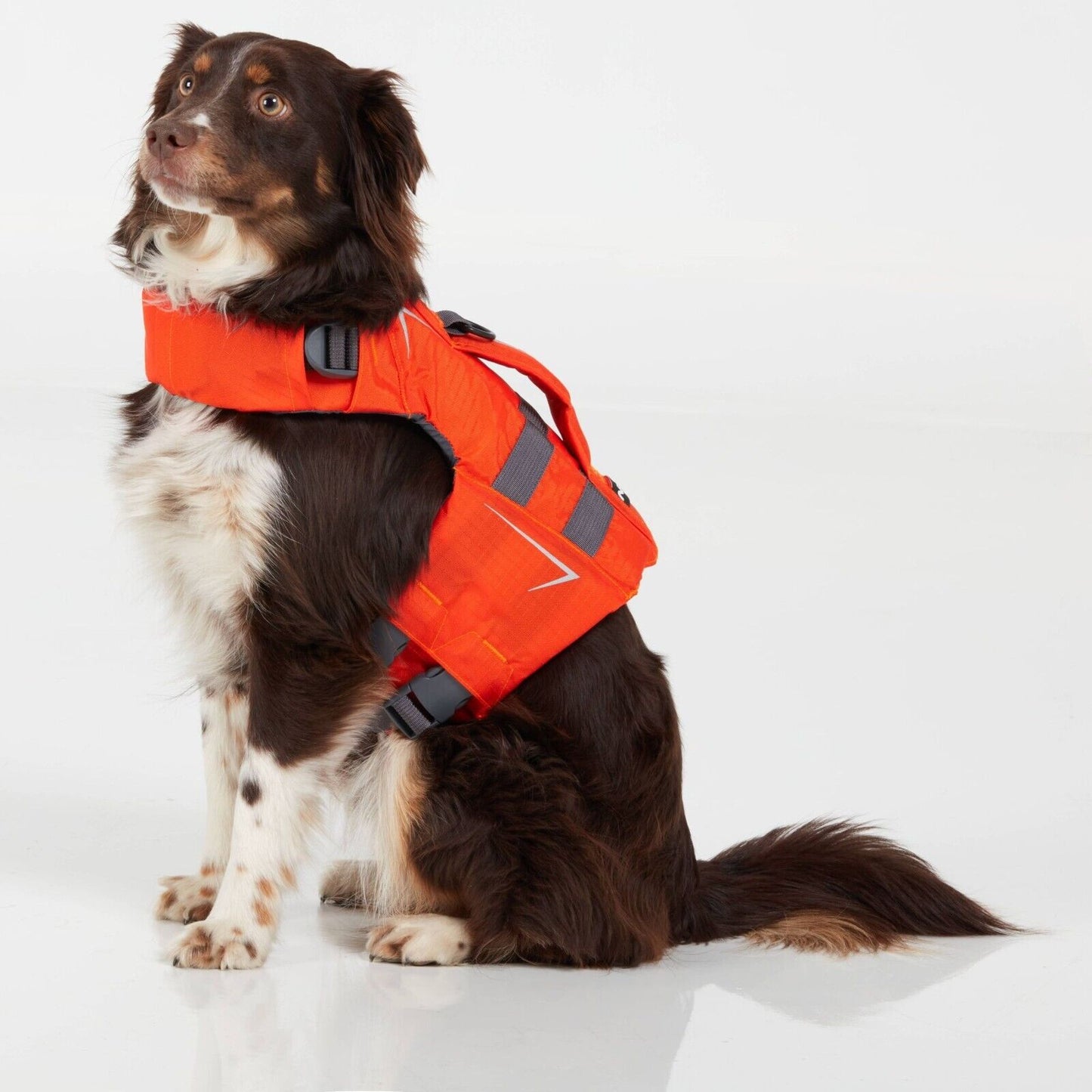 NRS CFD Dog Life Jackets