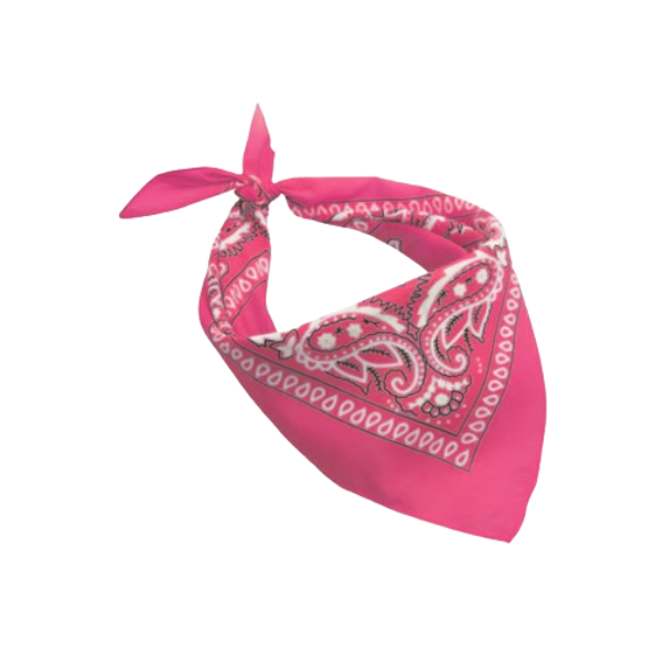 Europe Bound Bandanas 5 pack
